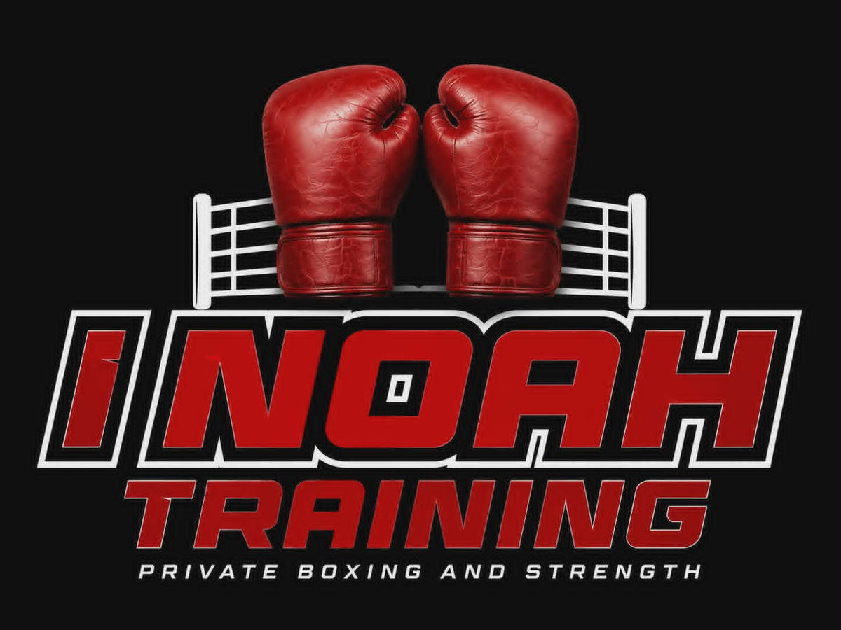 I Noah Training · La Grange logo