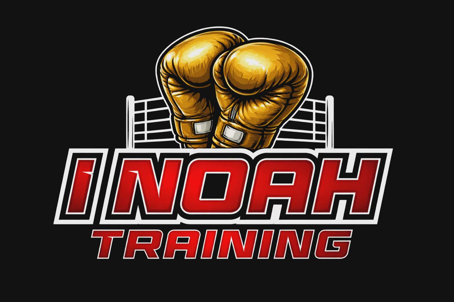 INoahTraining