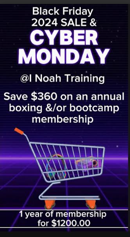 Black Friday/Cyber monday deals 2024 I Noah Training